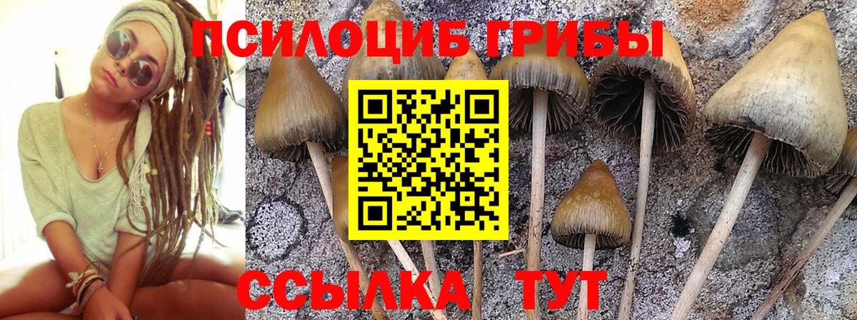 Галлюциногенные грибы MAGIC MUSHROOMS  Вход с VPN  Видное  Галлюциногенные грибы MAGIC MUSHROOMS 