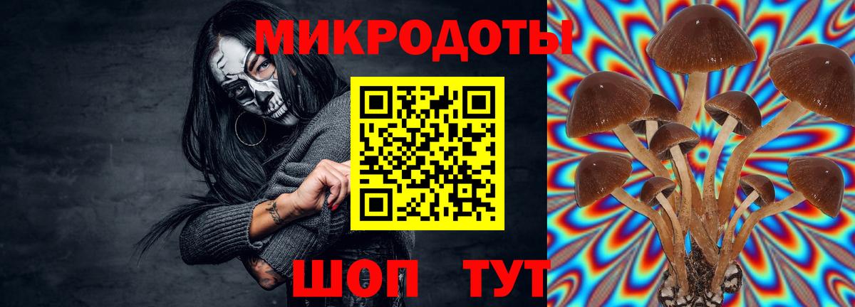 Галлюциногенные грибы ЛСД Видное